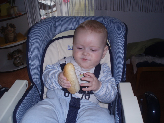 PB012328.jpg