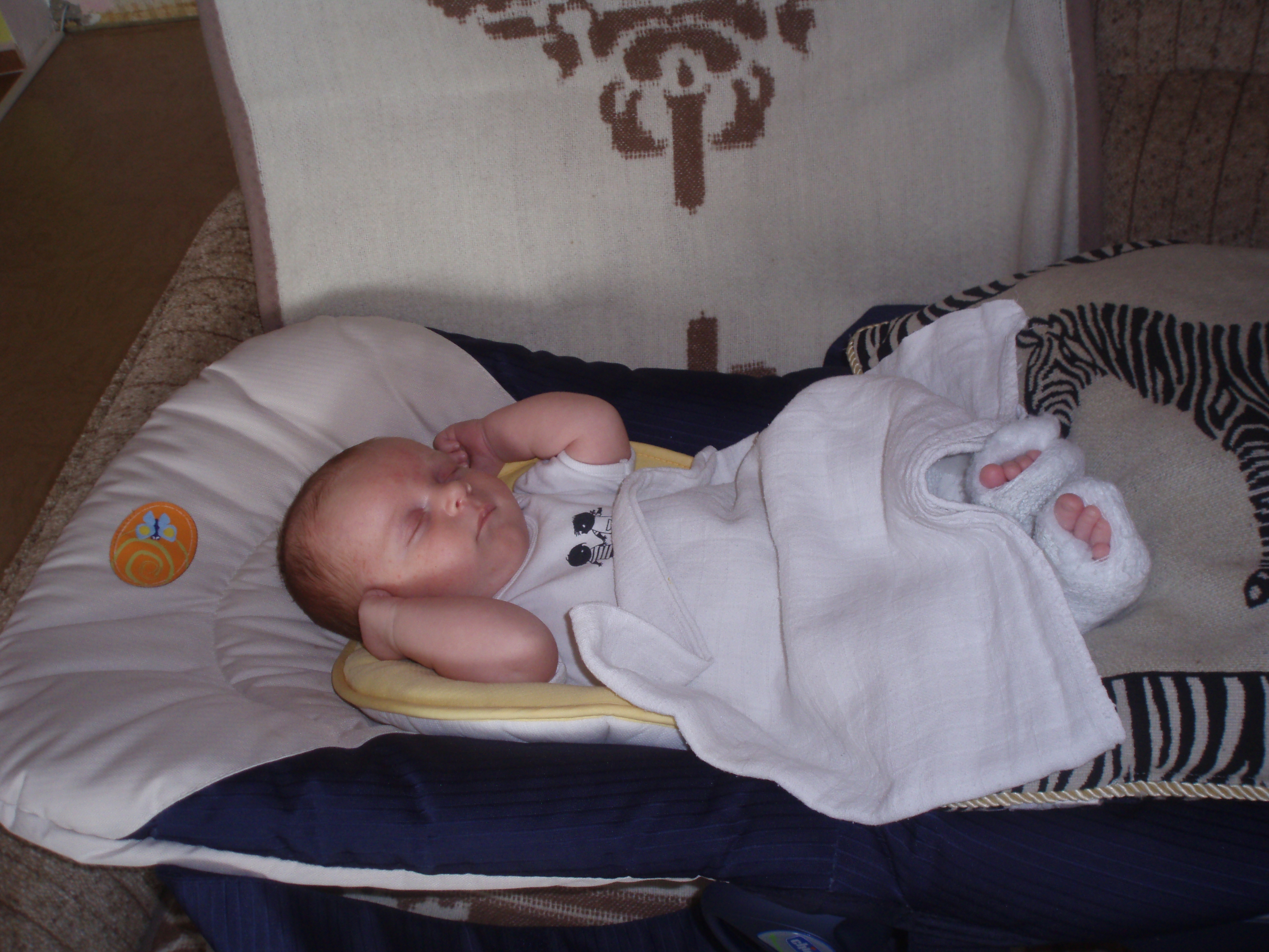 P4201390.JPGd